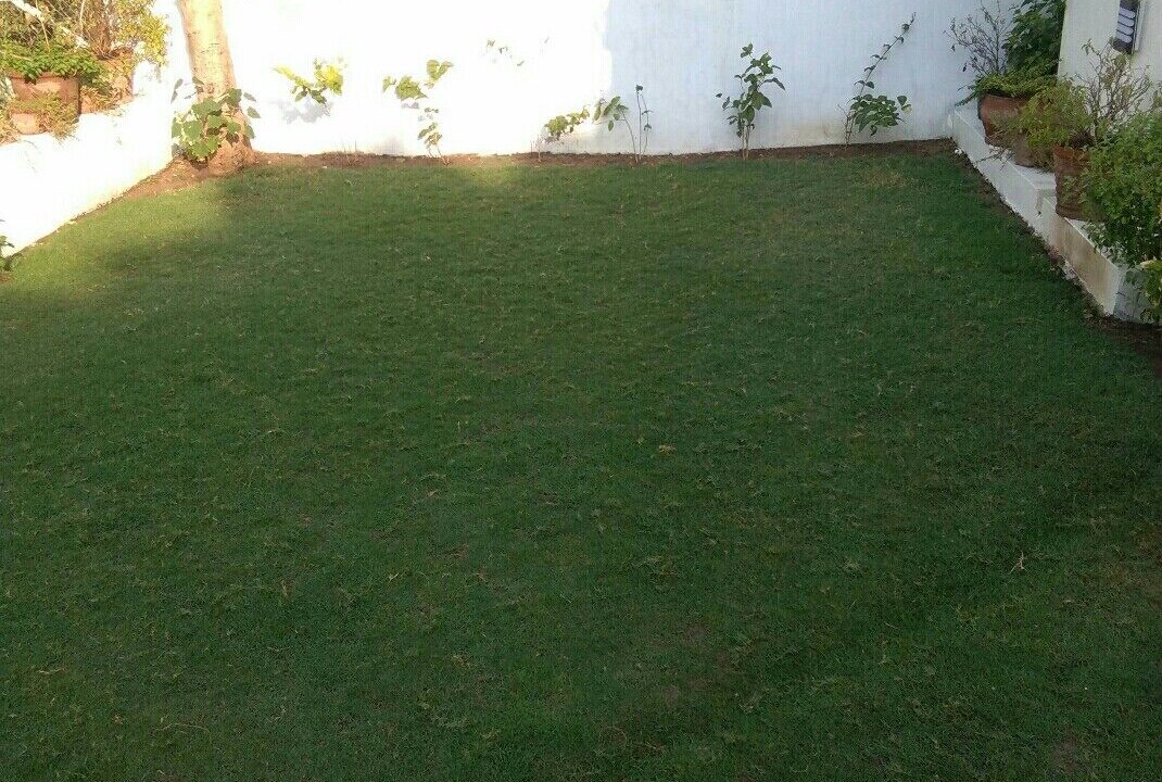 Photo of Outdoor in Ahmedabad