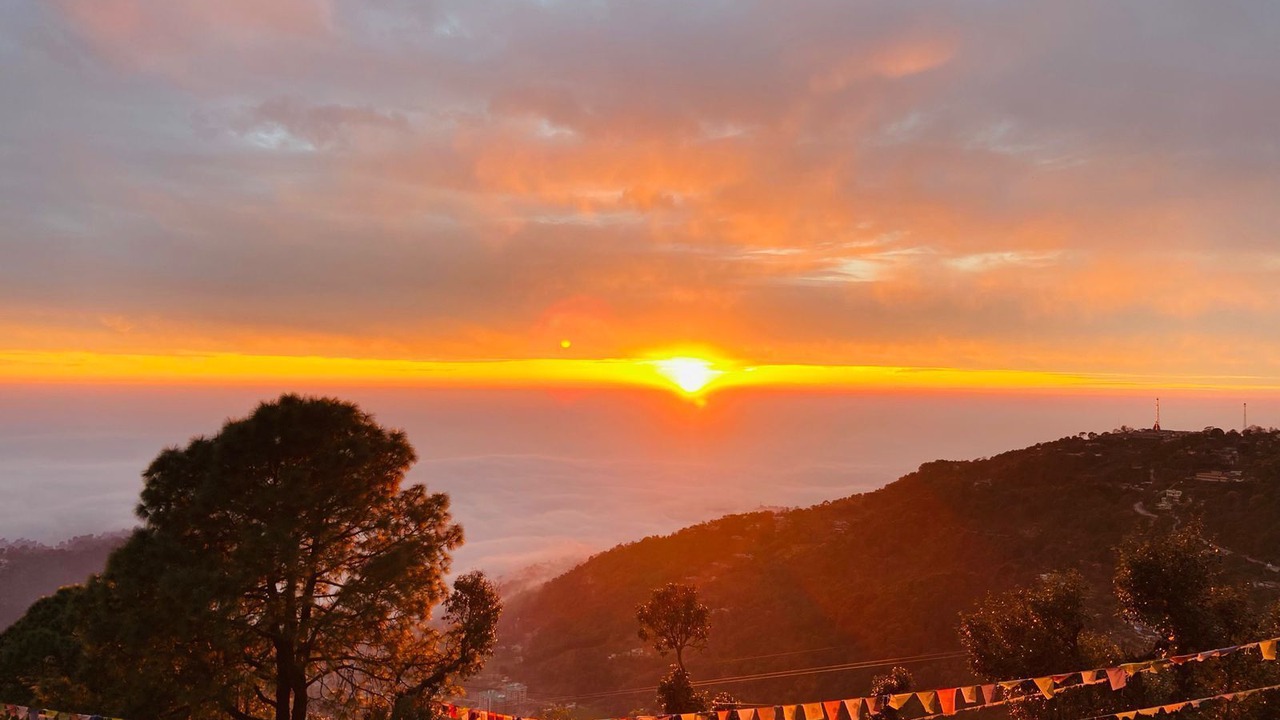 Photo of Others in Dharamshala