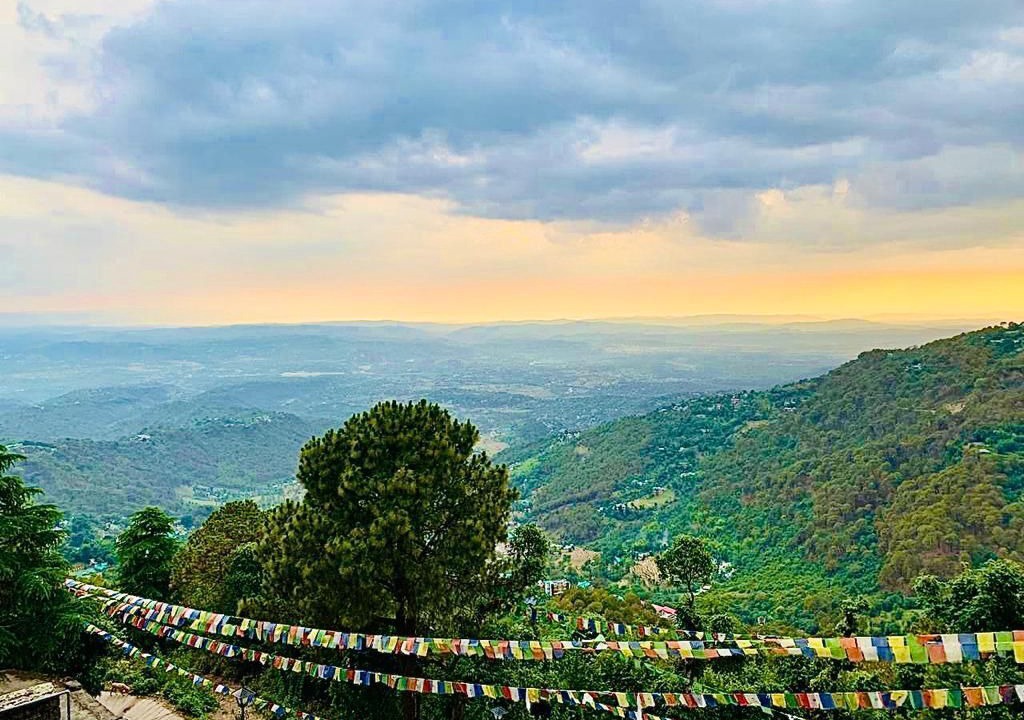 Photo of Others in Dharamshala