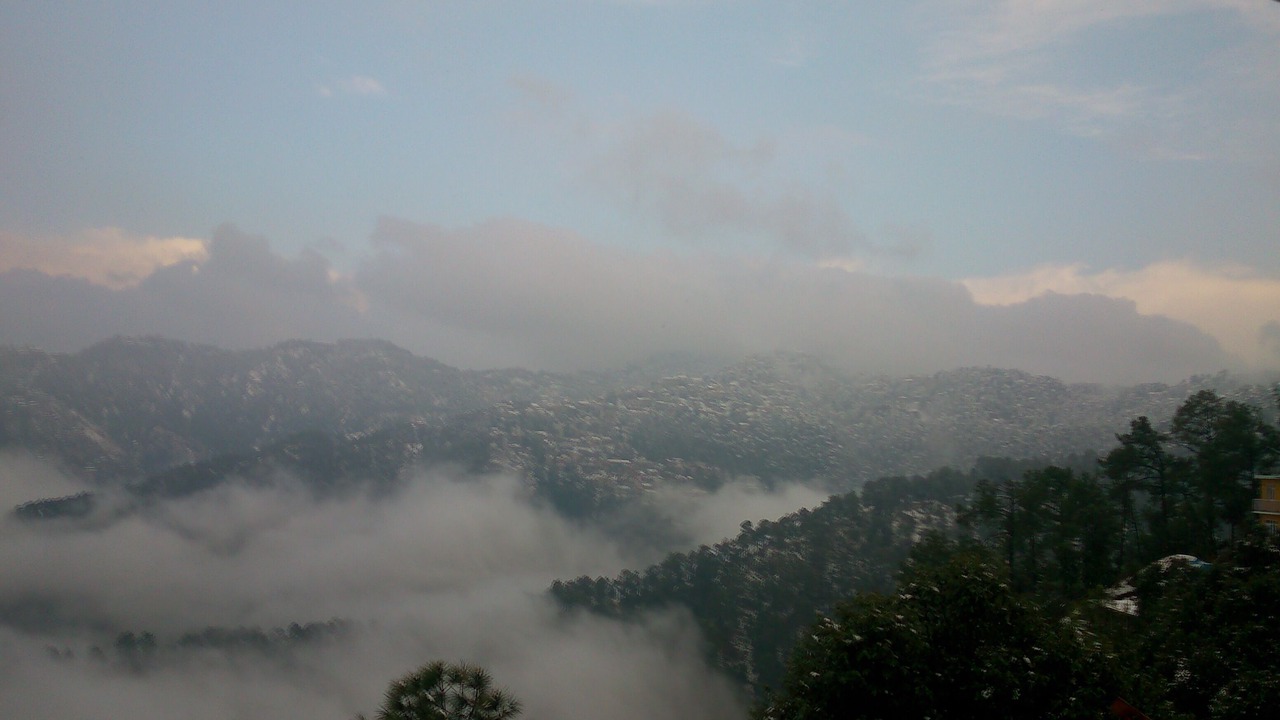 Photo of Others in Shimla
