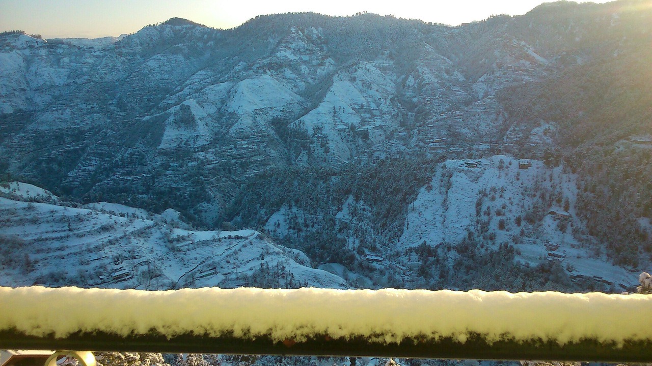 Photo of Others in Shimla