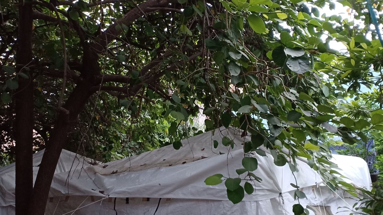 Photo of Outdoor in Jodhpur