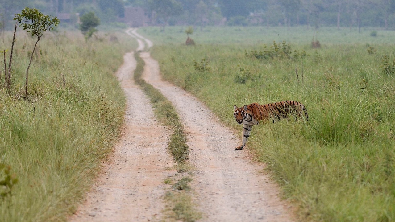 Photo of Outdoor in Jakh