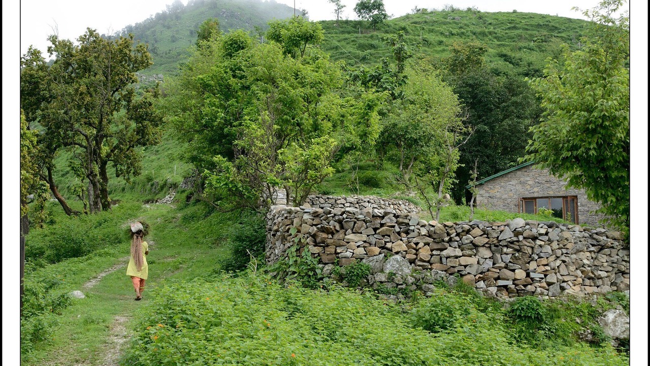 Photo of Outdoor in Jakh