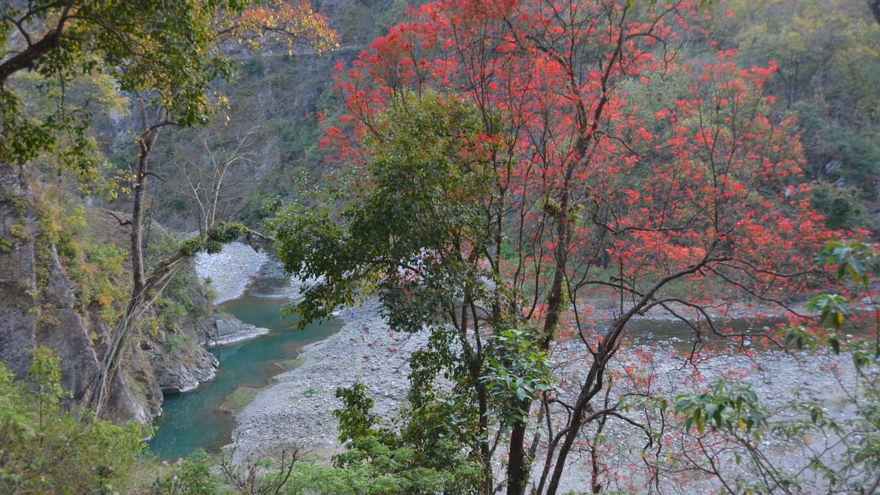 Photo of Outdoor in Jakh