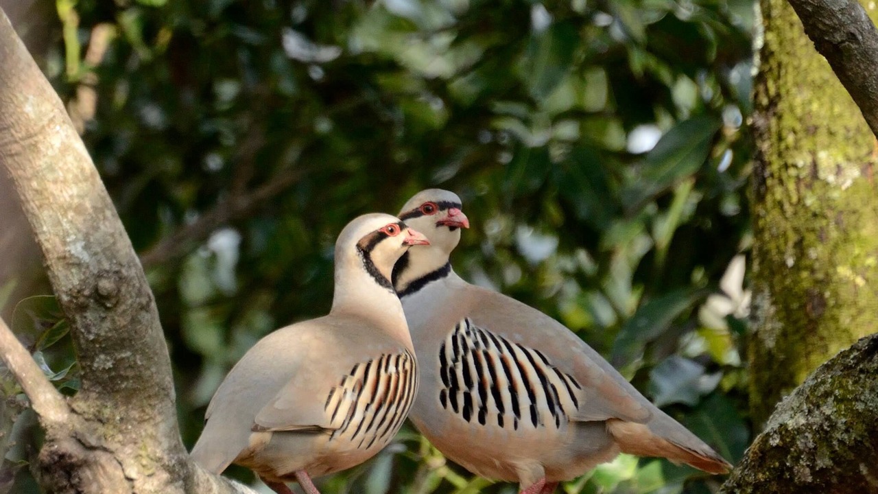 Photo of Outdoor in Jakh