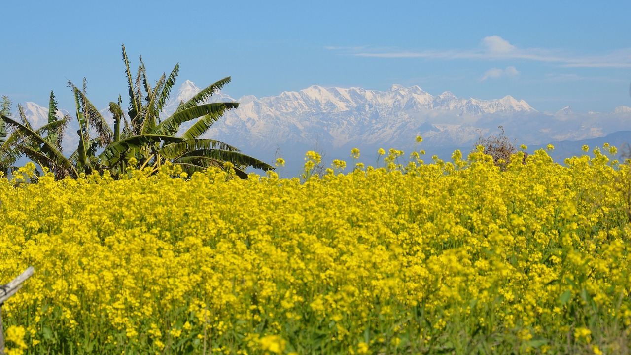 Photo of Outdoor in Jakh