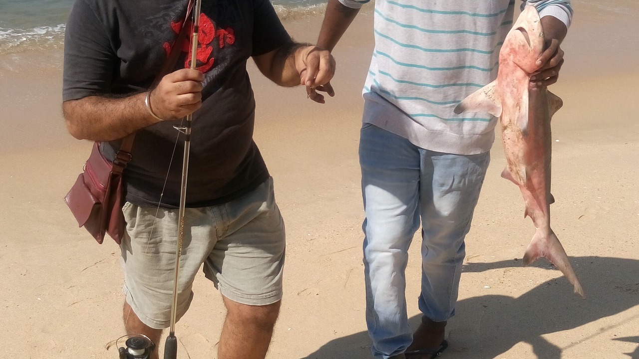 Photo of Others in Gujjadi