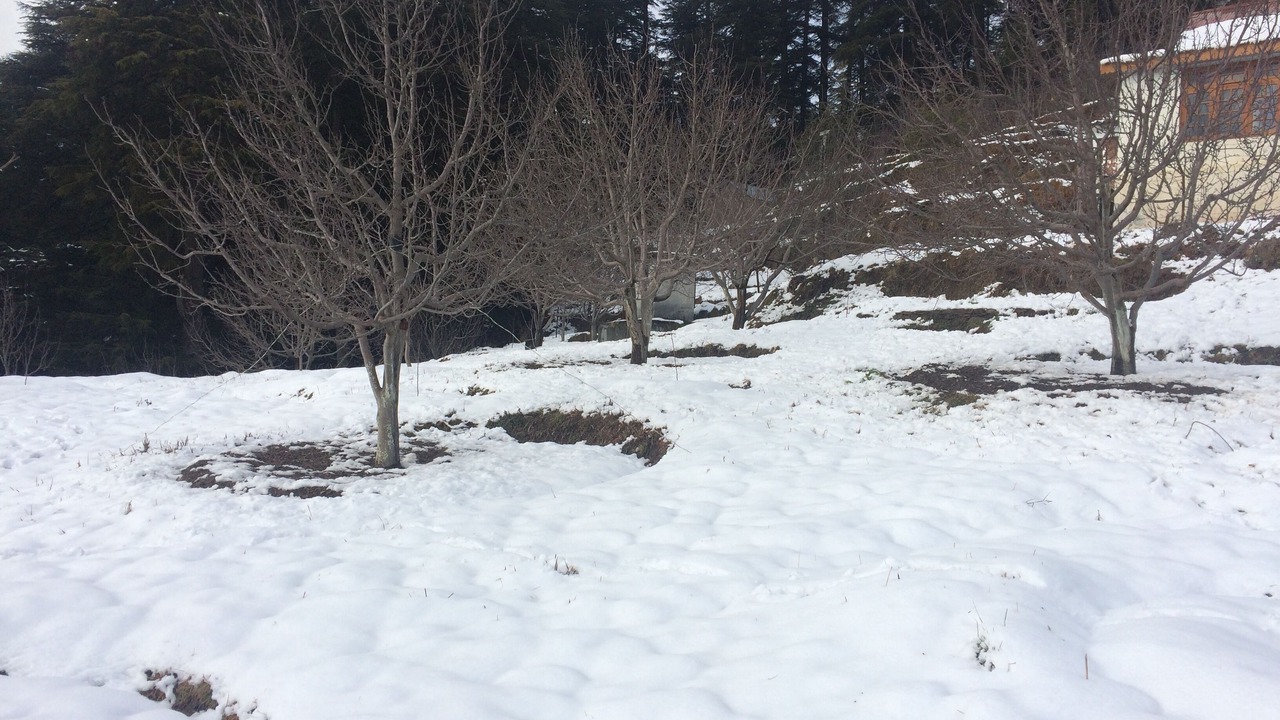 Photo of Outdoor in Chamba