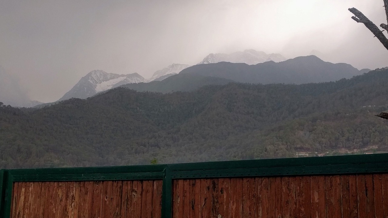 Photo of Others in Palampur
