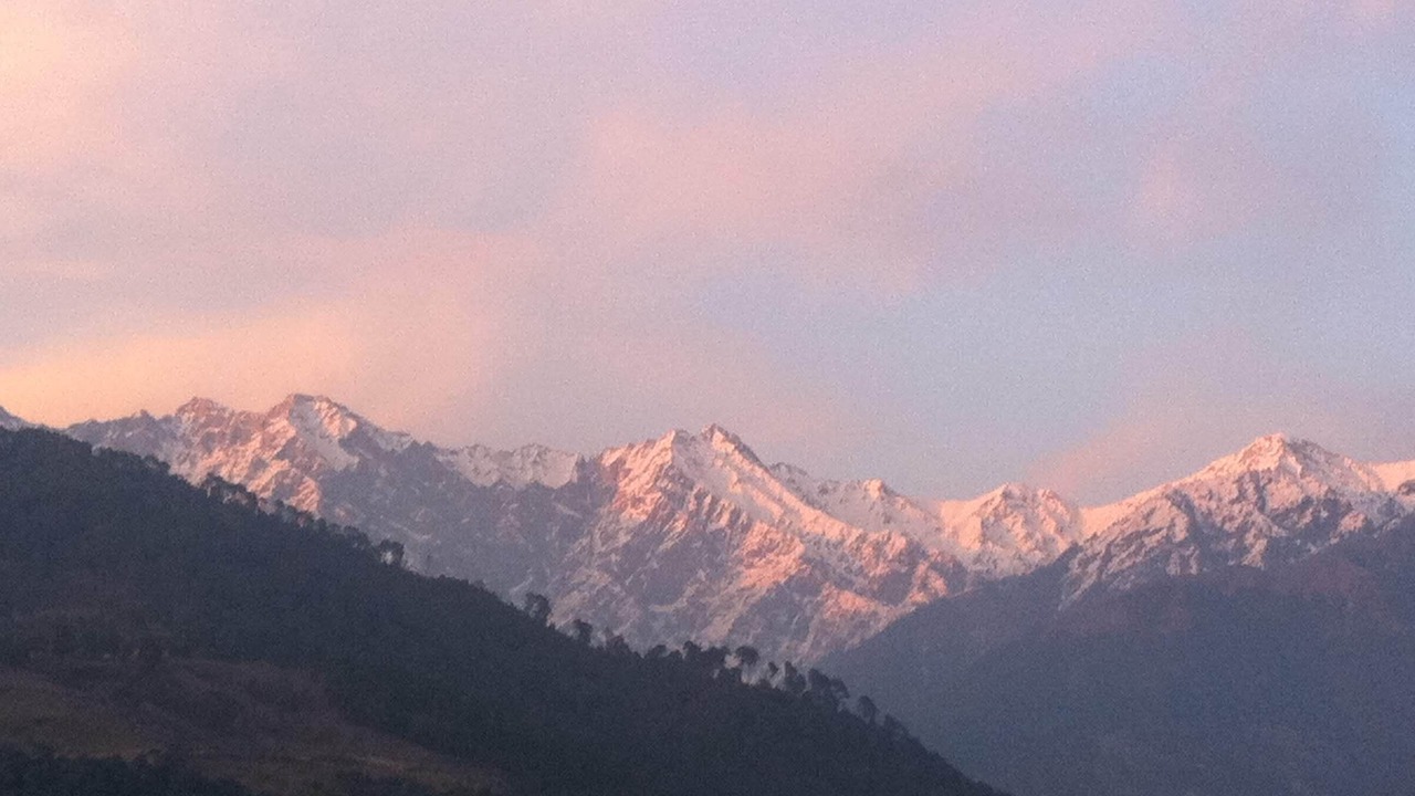 Photo of Others in Palampur