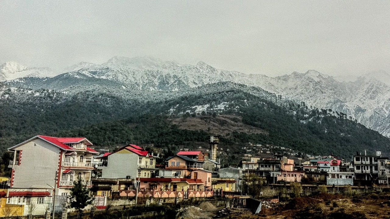 Photo of Outdoor in Palampur