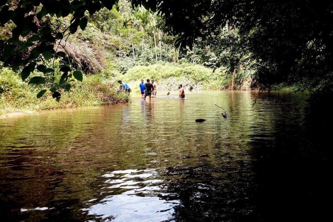 Photo of Outdoor in Mudigere