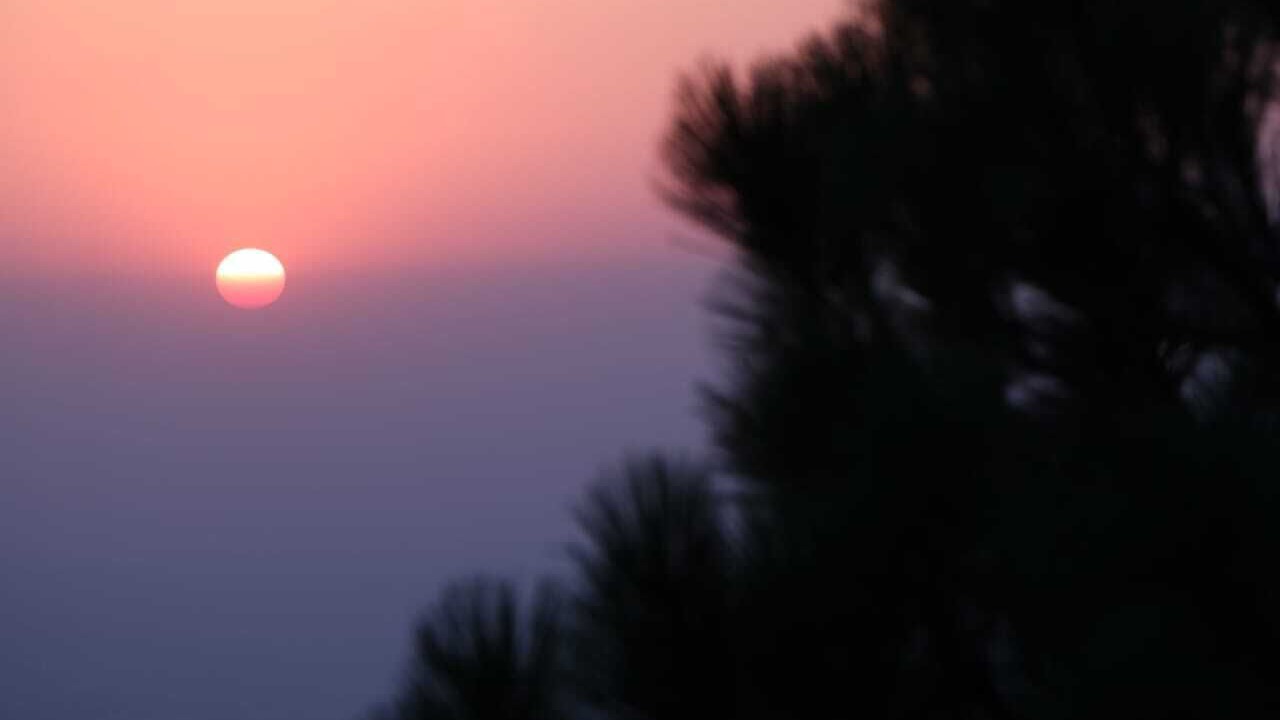 Photo of Others in Kasauli