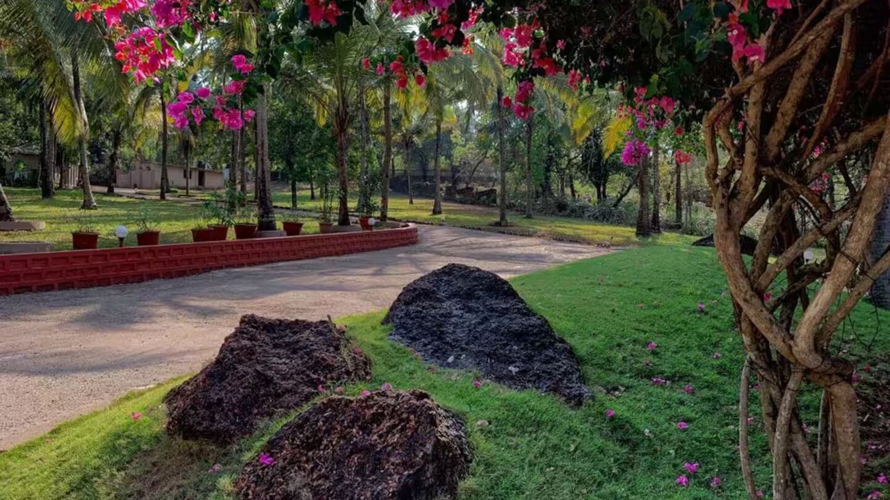 Photo of Outdoor in Colvale