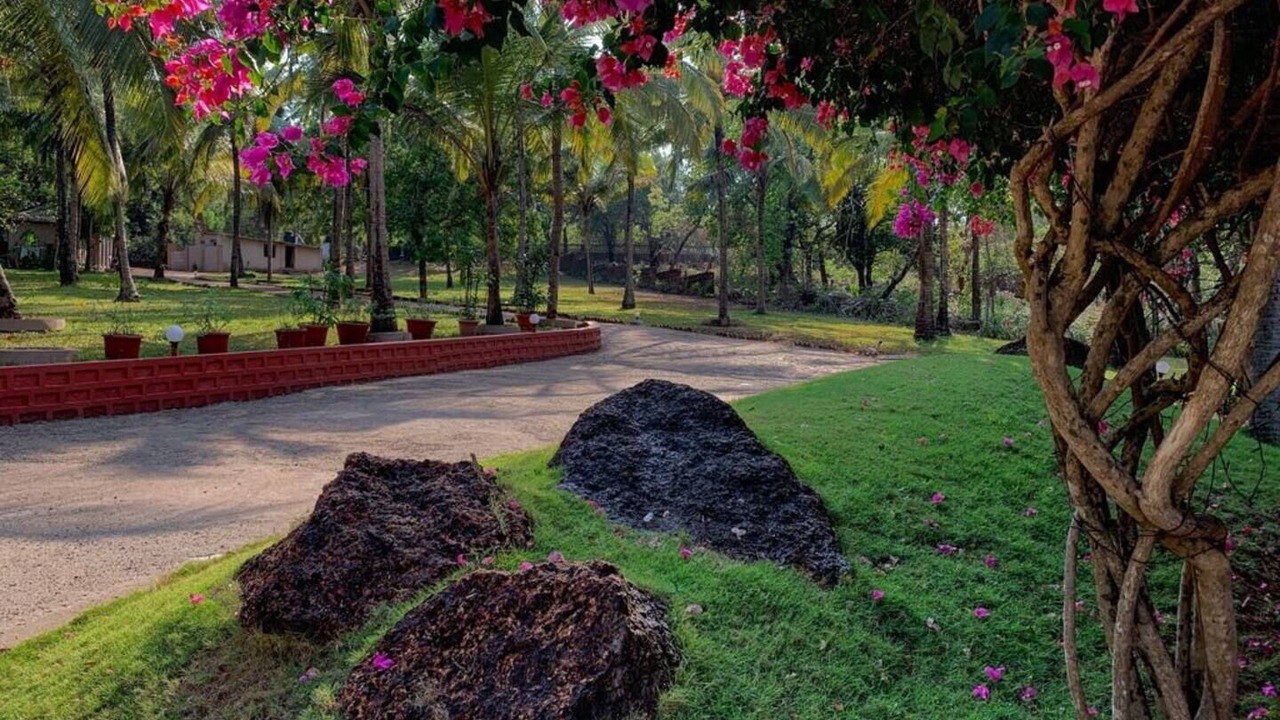 Photo of Outdoor in Chikhli
