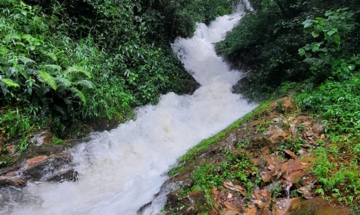 Photo of Others in Shillong