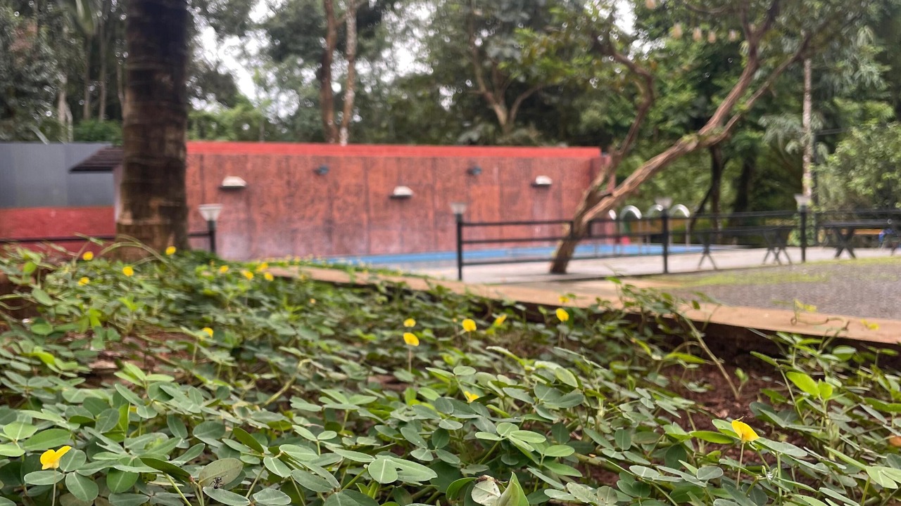 Photo of Outdoor in Vayittiri