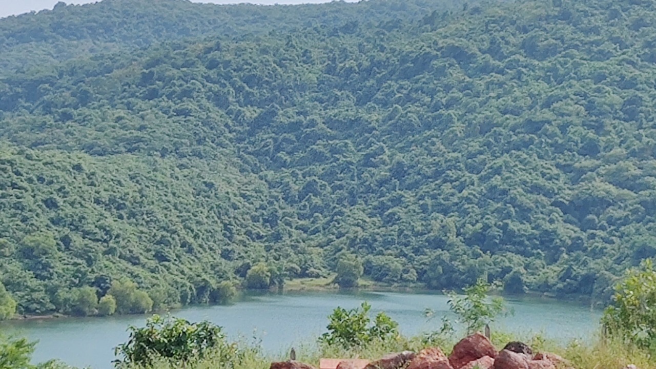 Photo of Others in Mhsala