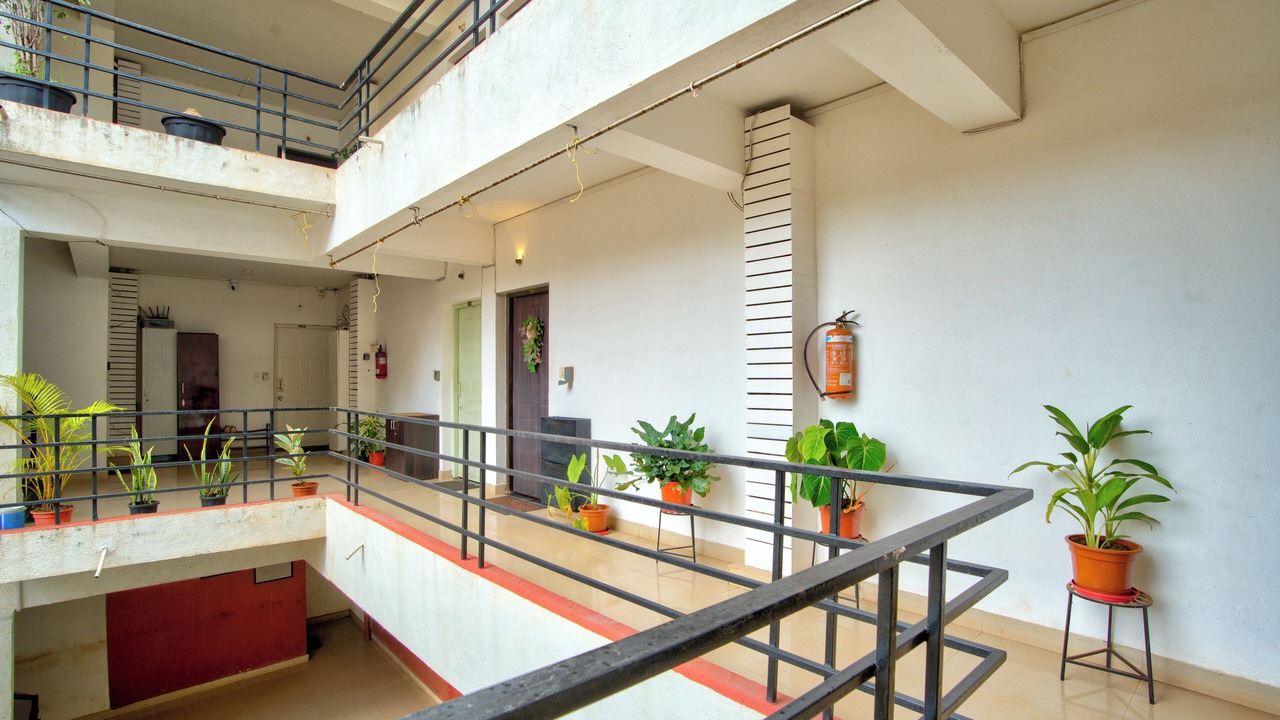 Photo of Outdoor in Chapora