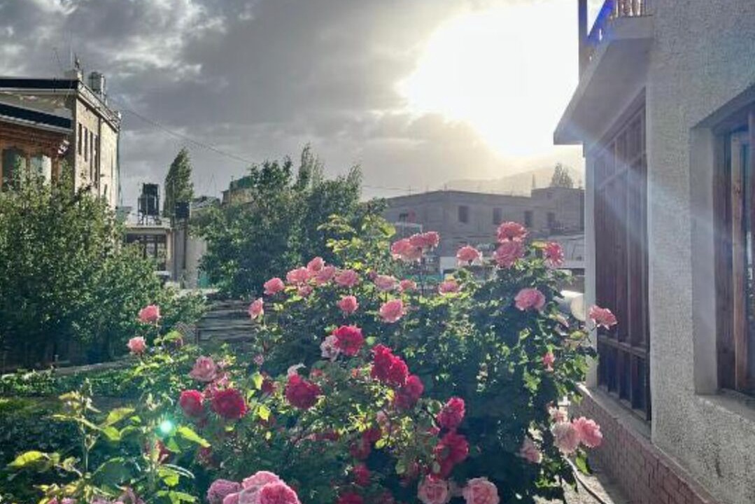 Photo of Outdoor in Leh