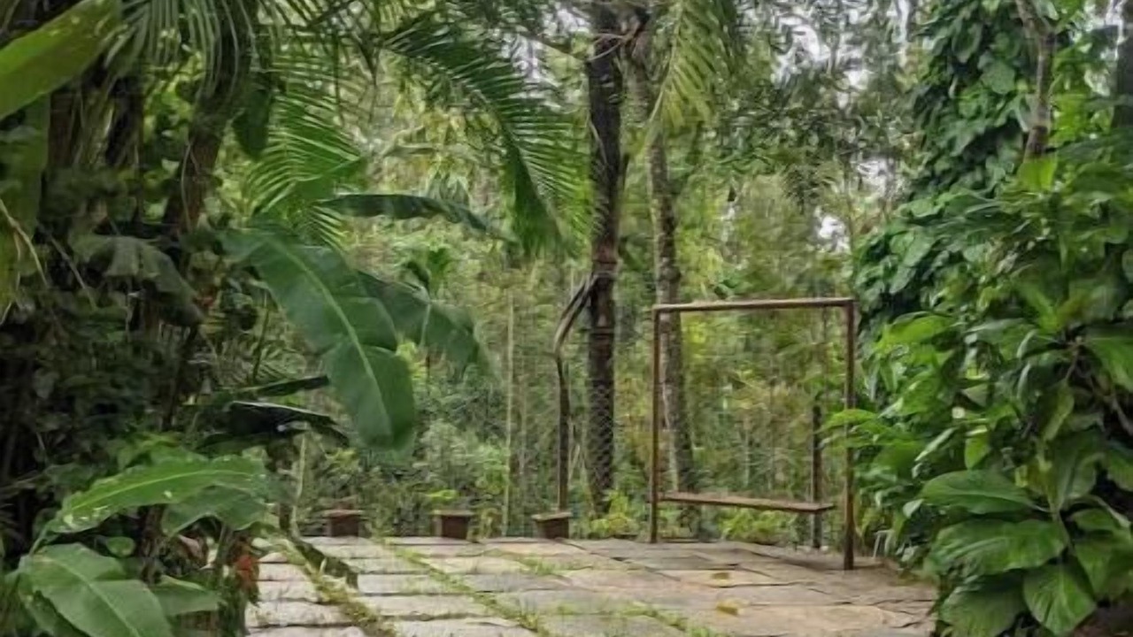 Photo of Outdoor in Chikkamagaluru