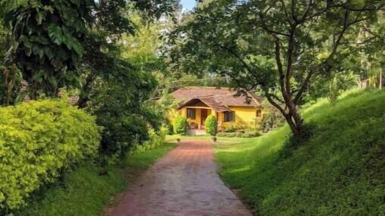 Photo of Outdoor in Chikkamagaluru