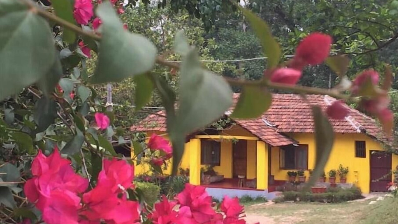 Photo of Outdoor in Chikkamagaluru