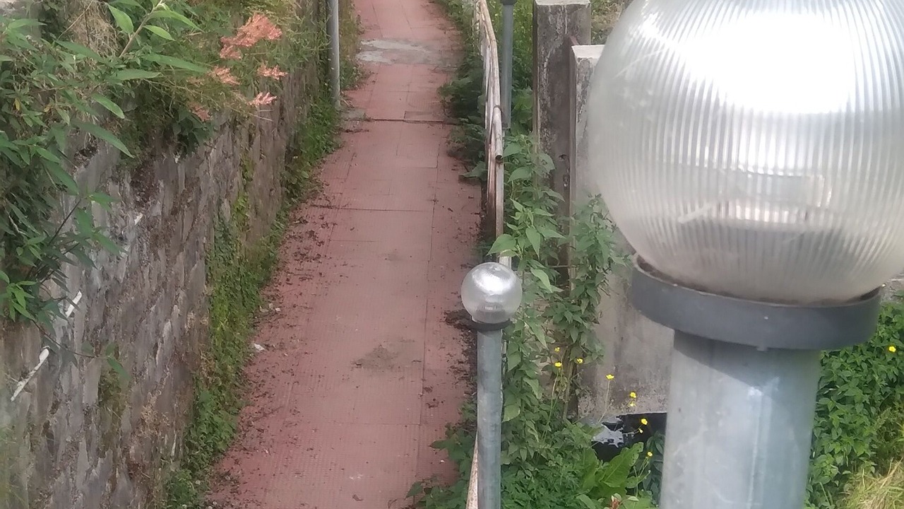 Photo of Outdoor in Naddi