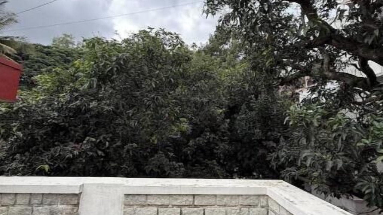 Photo of Outdoor in Ulsoor