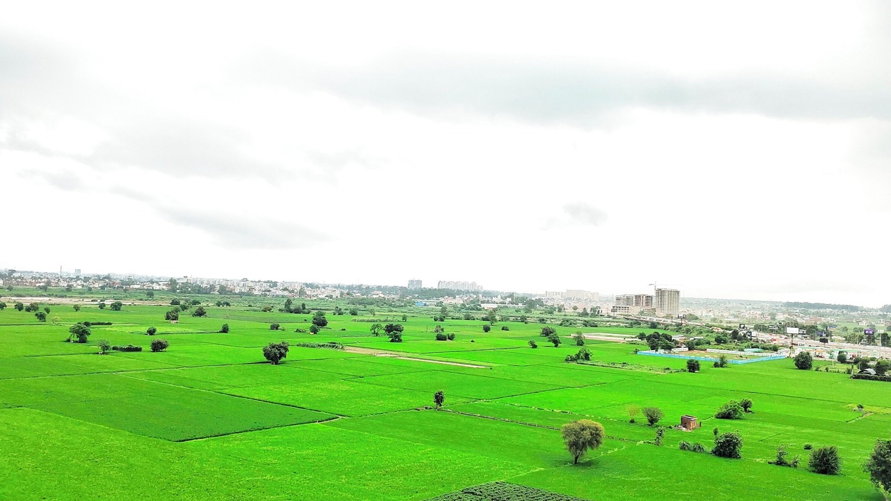 Photo of Others in Chandigarh