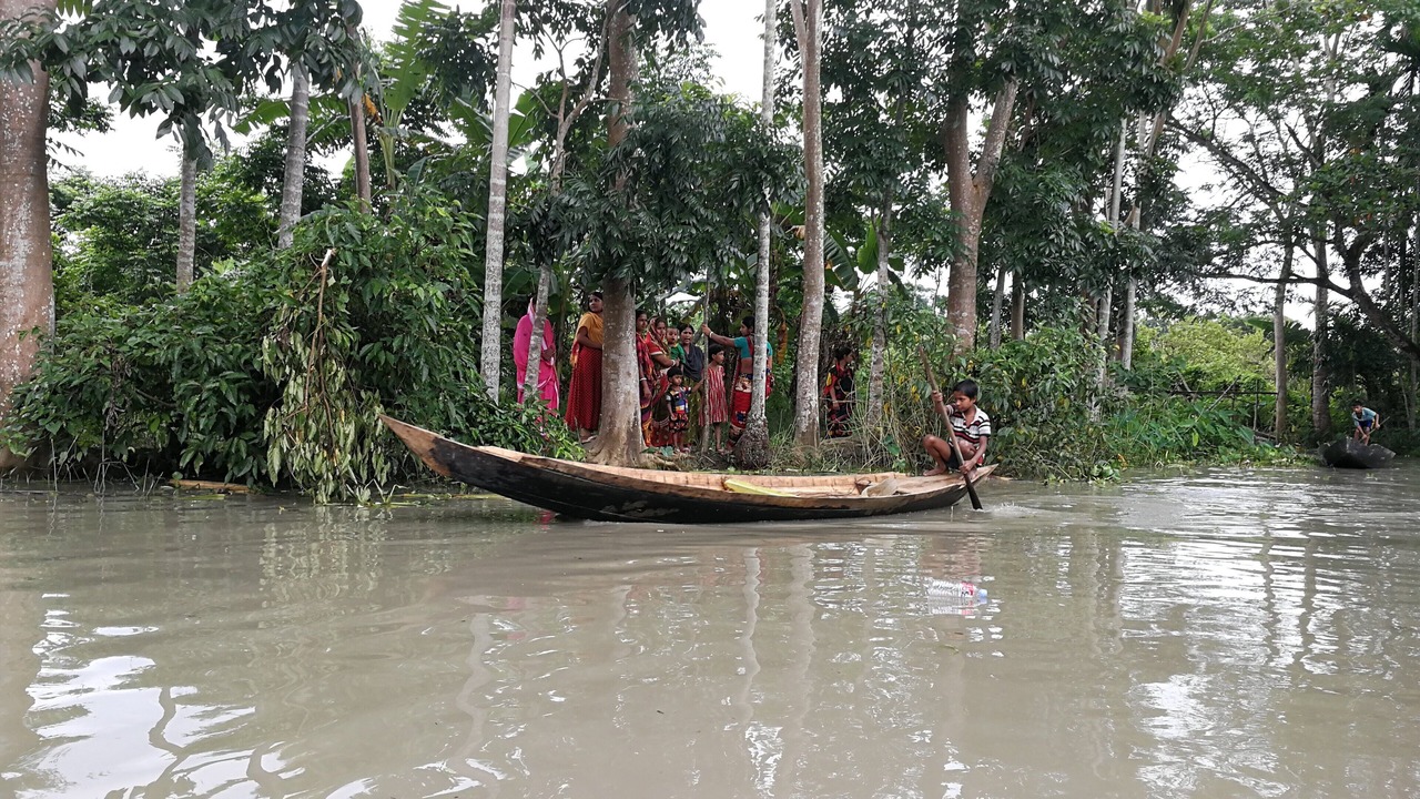 Photo of Others in Jhalakathi Sadar