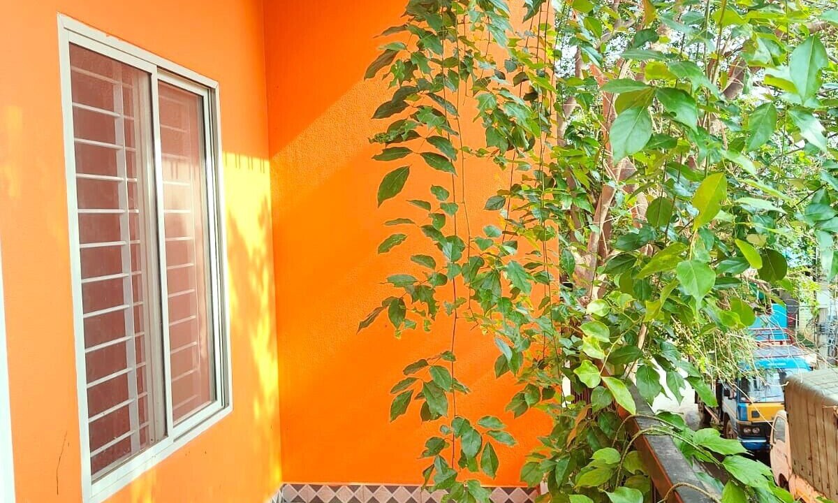 Photo of Outdoor in HBR Layout