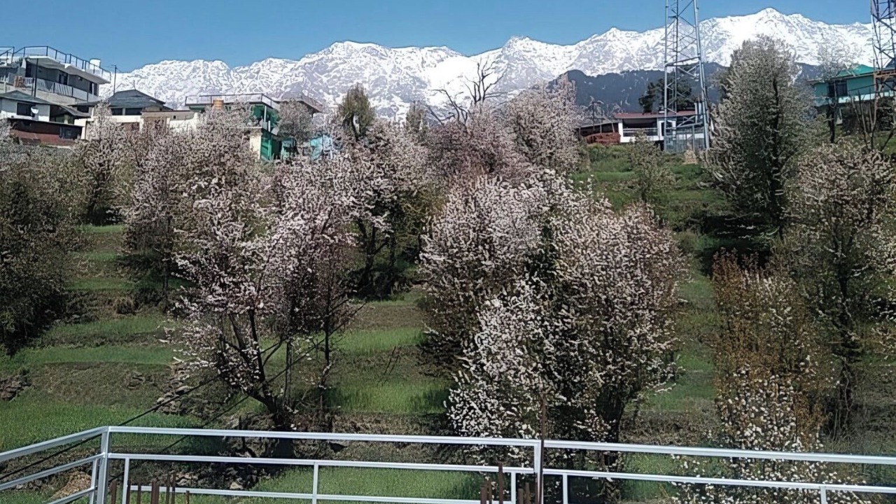 Photo of Outdoor in Naddi