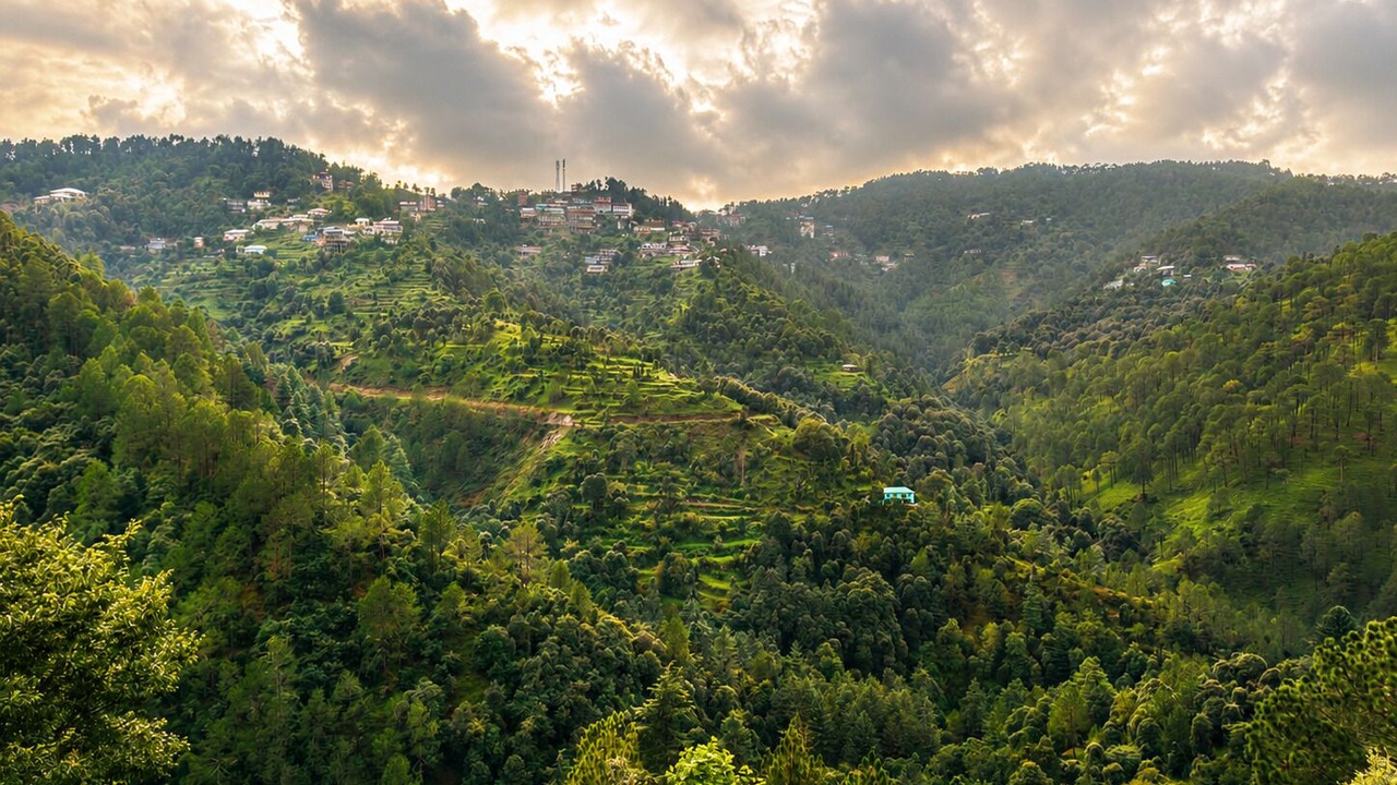 Photo of Others in Shimla