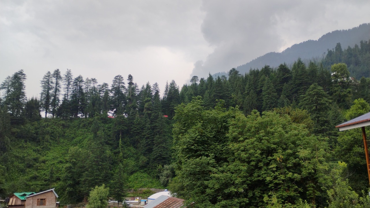 Photo of Others in Old Manali