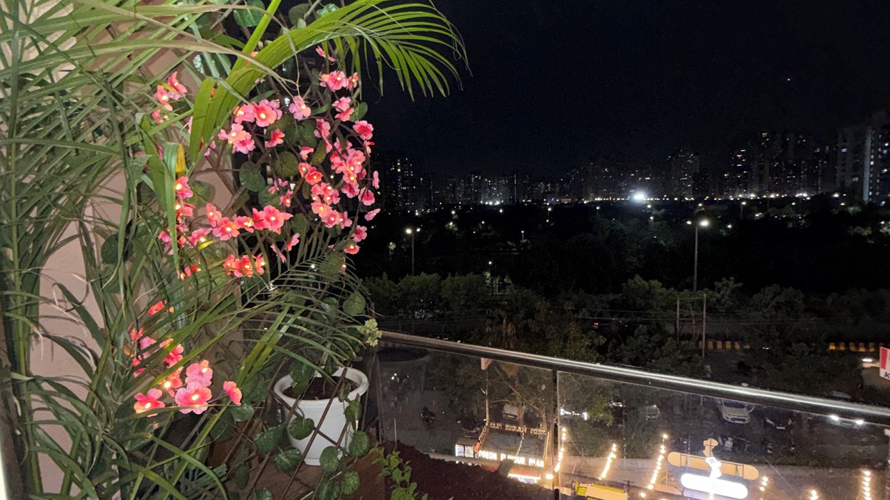 Photo of Outdoor in Noida