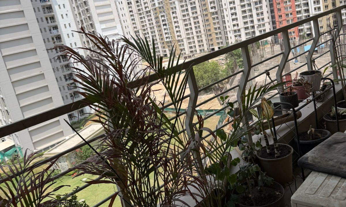 Photo of Outdoor in Noida