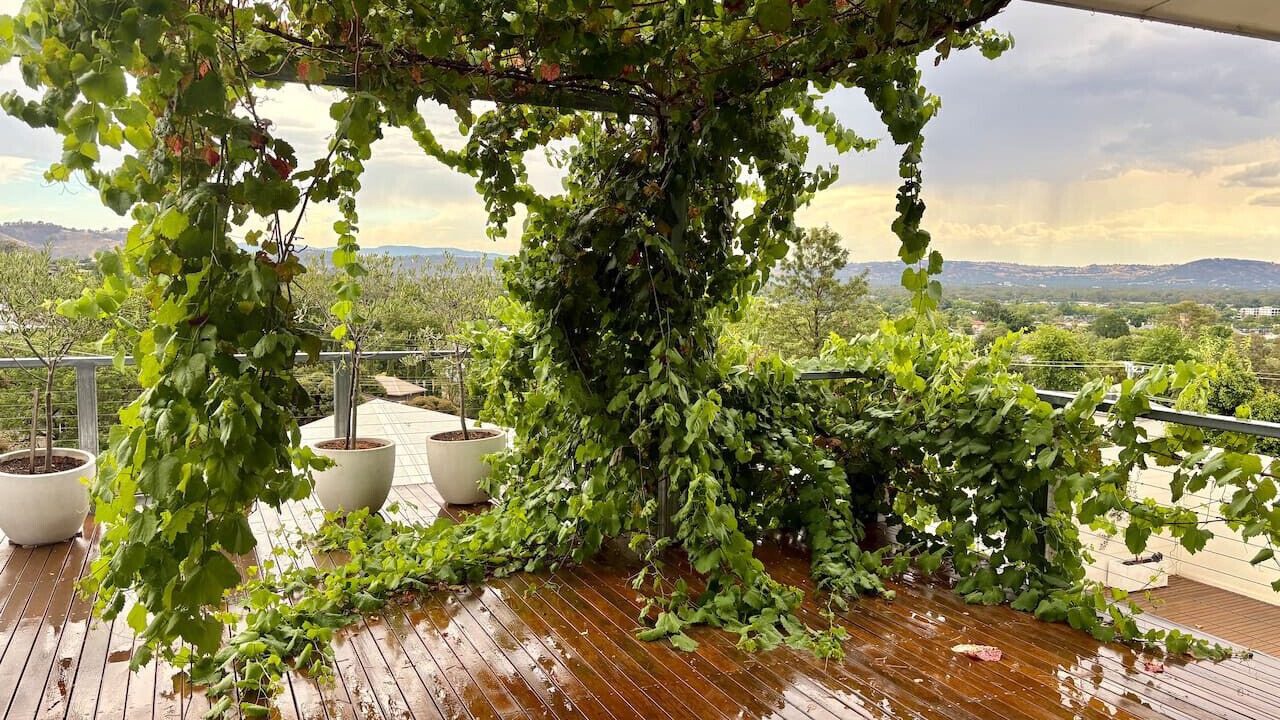 Photo of Patio Balcony in East Albury