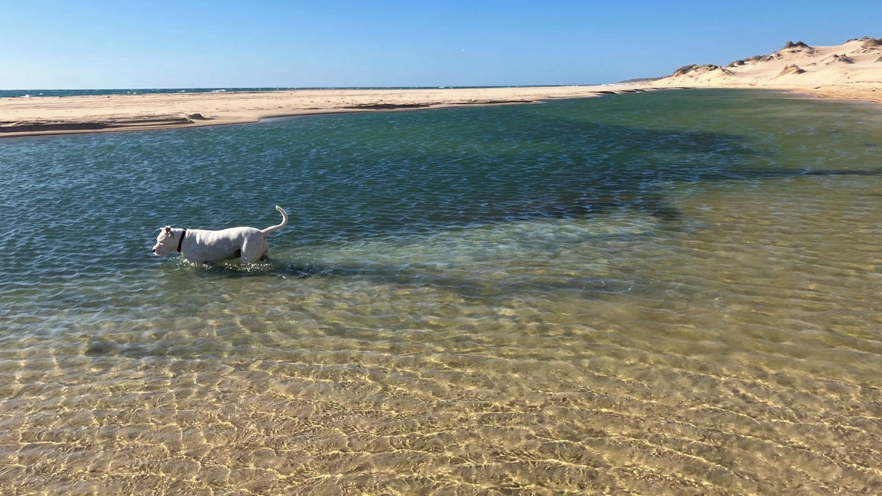 Photo of Others in Preston Beach