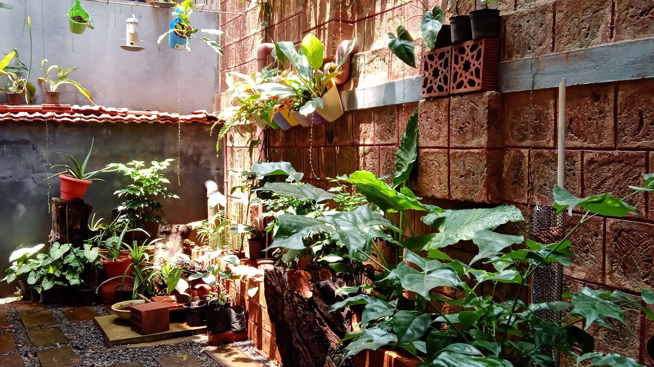 Photo of Outdoor in Ullal