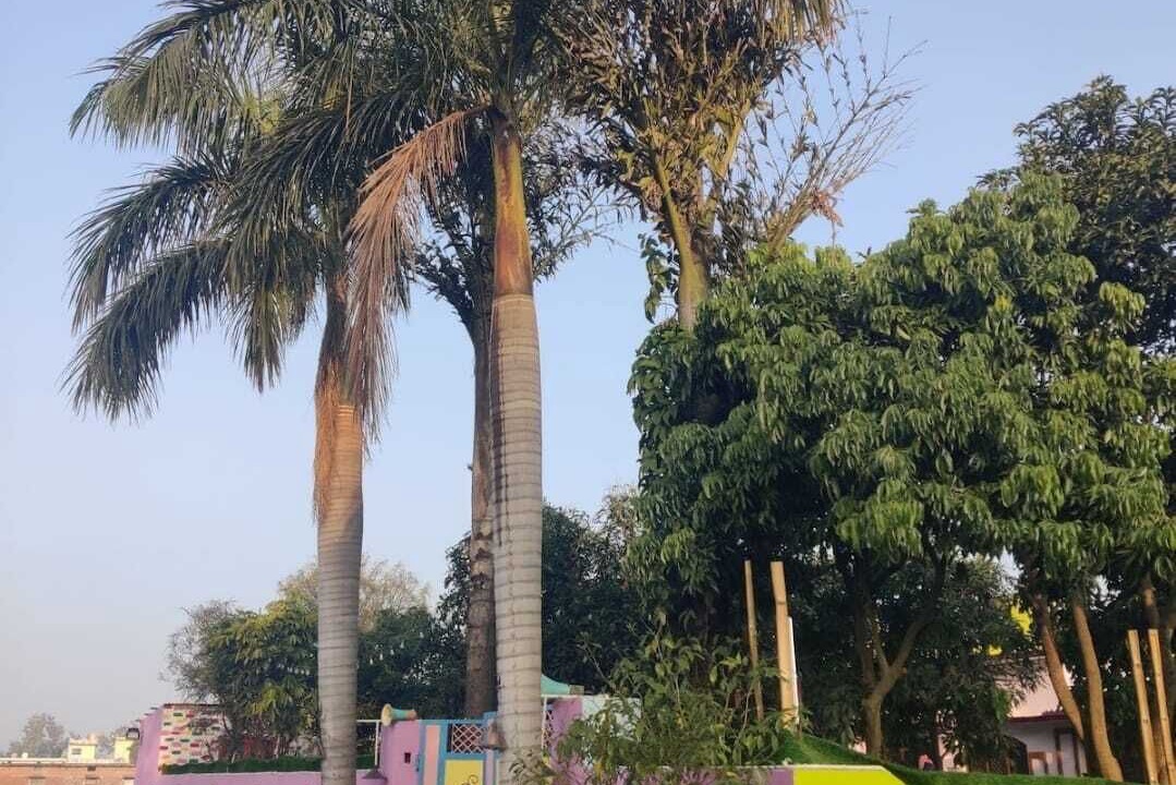 Photo of Outdoor in Ramnagar