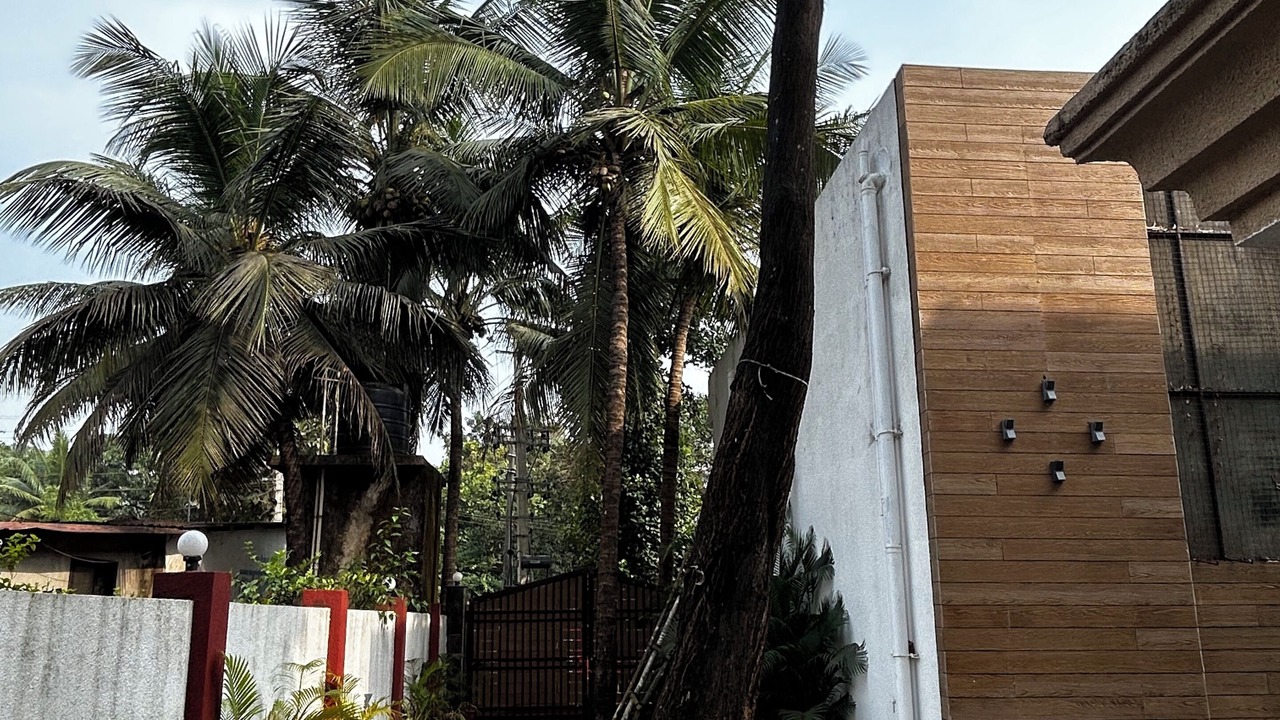 Photo of Outdoor in Siolim