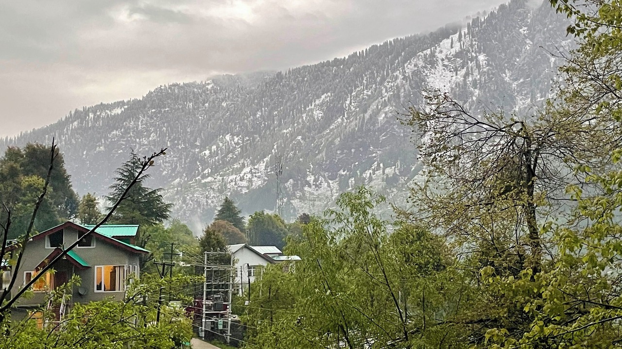 Photo of Others in New Manali