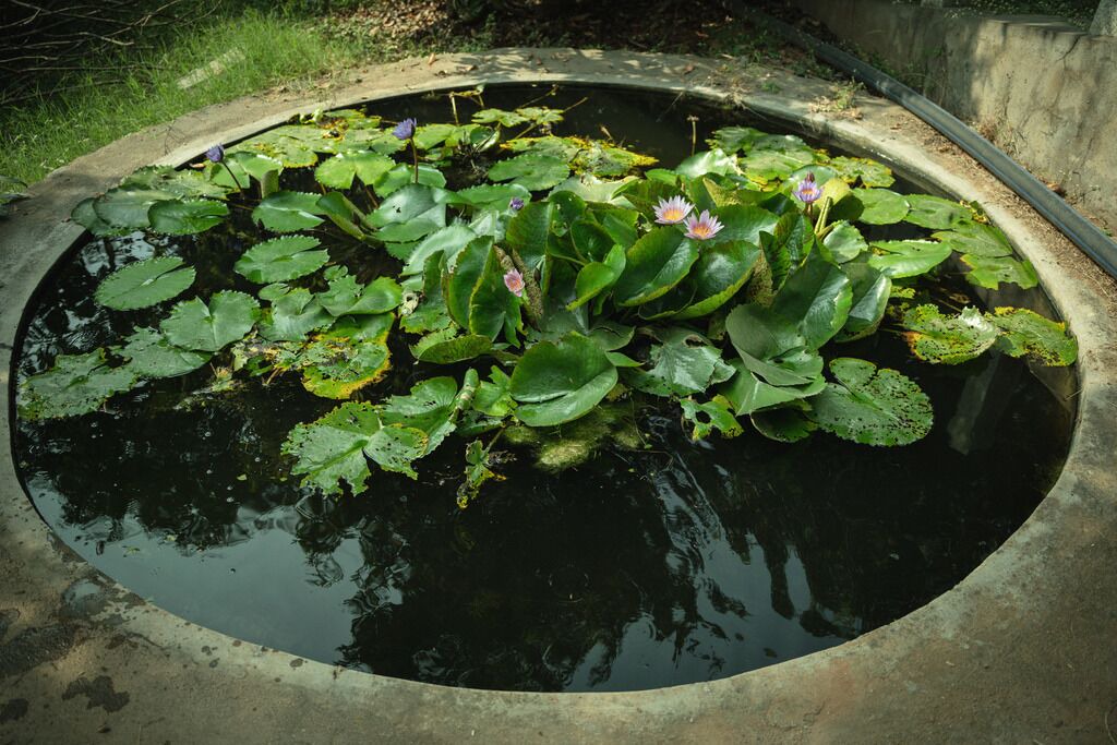 Photo of Outdoor in Narasapura