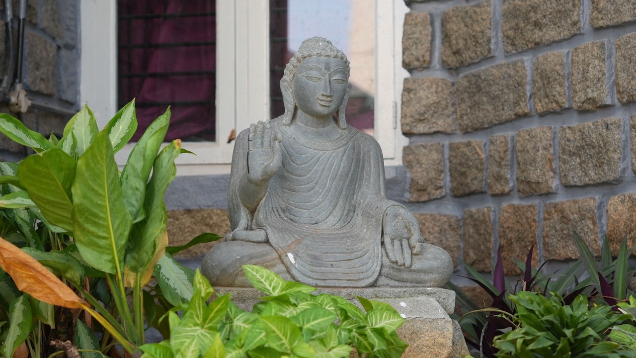Photo of Outdoor in Narasapura