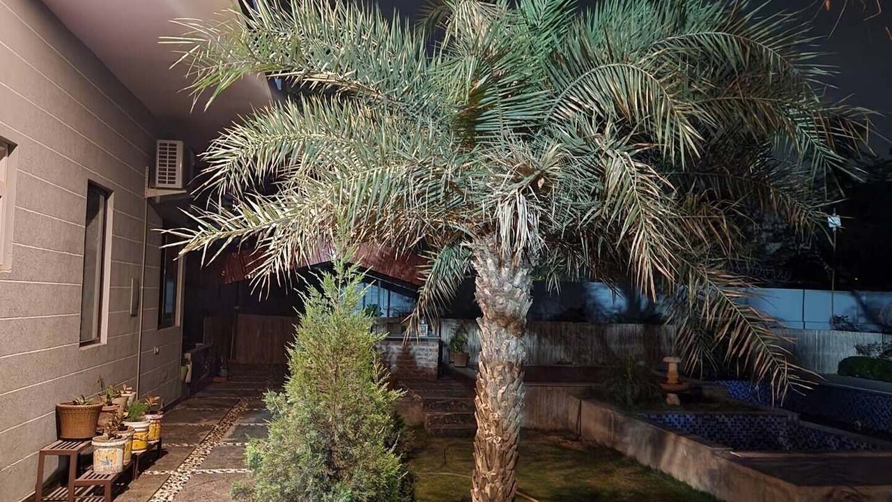 Photo of Outdoor in Taoru