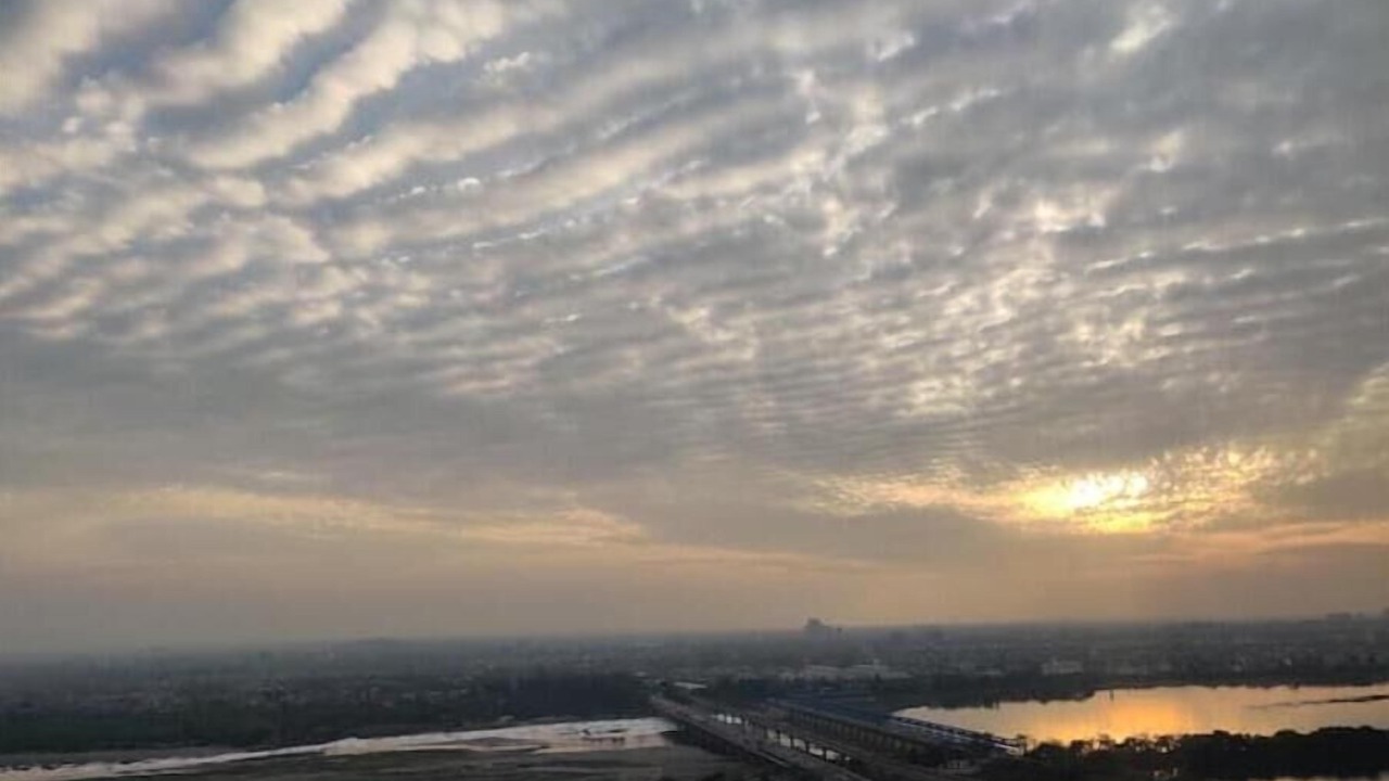 Photo of Others in Noida