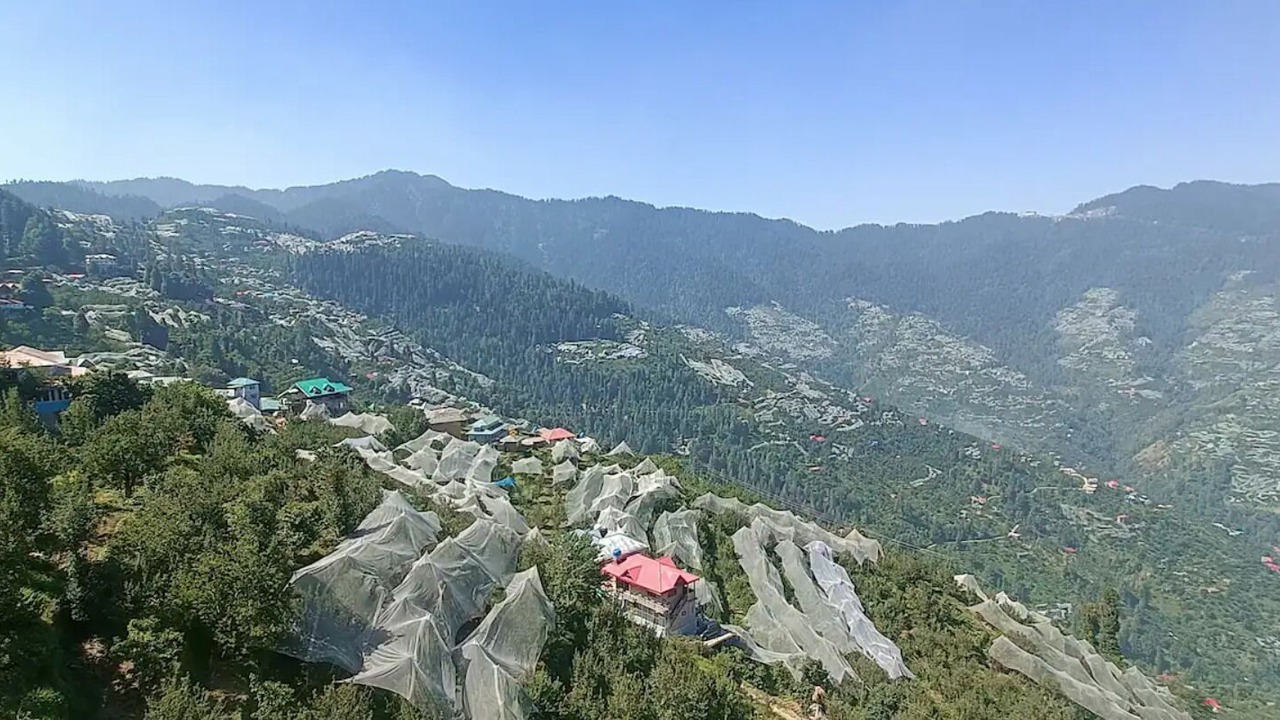 Photo of Others in Kumharsain