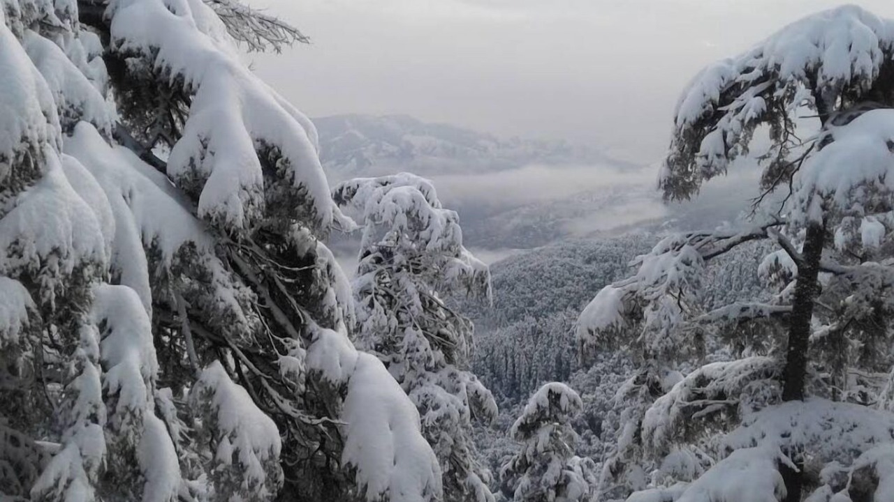 Photo of Outdoor in Chakrata